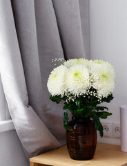 Bouquet of white chrysanthemums near the window. White chrysanthemums in the interior.