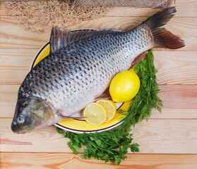 Raw carp prepared for cooking on dish, top view