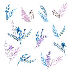 Flowers bouquet with floral branches and leaves. Watercolor hand drawing illustration