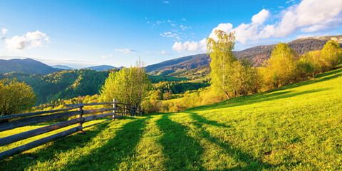 trees behind the fence on the grassy meadow. spring rural landscape in evening light. distant mountain ridge beneath a bright sky with fluffy clouds