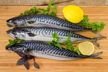 Defrosted uncooked Atlantic mackerel on a bamboo wooden cutting board