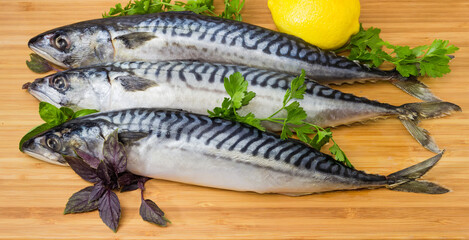 Defrosted uncooked Atlantic mackerel on wooden cutting board close-up