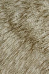 close up of fur texture