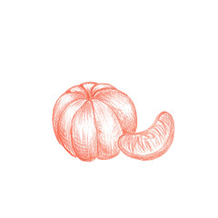 Peeled tangerine colored pencils sketch isolated on white