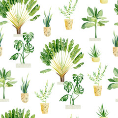 Watercolor tropical plants in pots. Jungle summer floral, palm tree, monstera, cactus for wrapping paper, wallpaper decor, textile fabric.