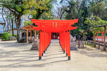 春の筑前國一之宮 住吉神社　荒熊･白髭稲荷神社　福岡県博多区　Sumiyoshi Shrine in 
spring Fukuoka-ken Hakata-ku