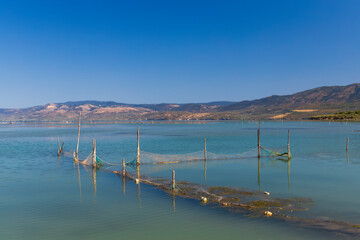 Obraz premium fishing nets in Lago di Varano, NP Gargano, Apulia, Italy