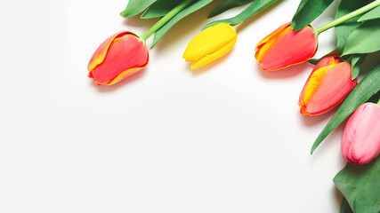 St. Valentine or Mother's Day. Beautiful tulips, on light background. Day of birth. Greeting card.
