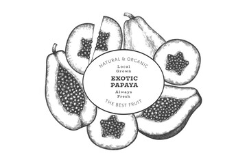 Hand drawn sketch style papaya banner. Organic fresh fruit vector illustration. Retro fruit design template