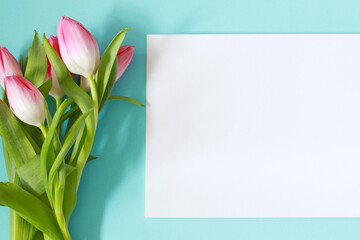 mockup for march 8, blank sheet of paper for message with pink tulips, empty paper page on pastel blue background with flowers