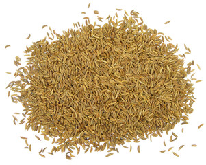 cumin seeds isolated on white background
