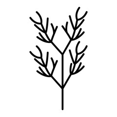 Vector Dill Outline Icon Design