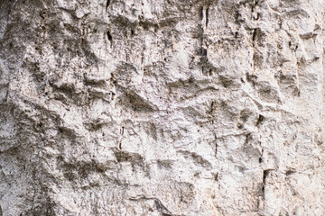 Fototapeta premium texture of a light gray stone with a porous structure, a fragment of an old slab of a building cladding, a gray stone surface for inserting text