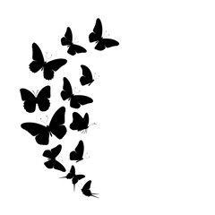 Flock of silhouette black butterflies on white background