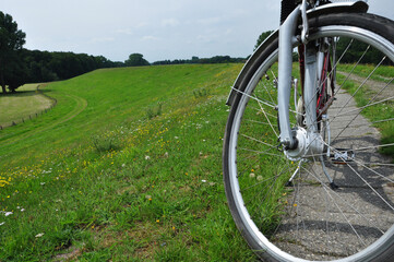 Mit dem Fahrrad unterwegs. Eine Fahrradtour machen, der Ausflug zum Alfsee im Sommer.