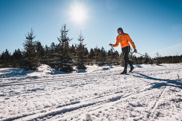 Langläufer in wunderschöner sonniger Winterlandschaft beim Skifahren klassische Technik