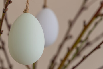 decoration of spray with easter eggs