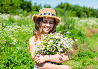 Harvest fresh herbs. Little girl collecting chamomile flowers in field, summer season