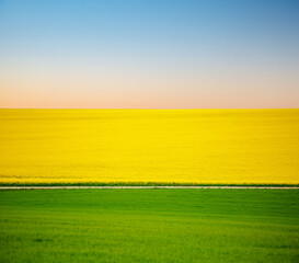 Abstract image of a spring field that is divided into colored sectors.