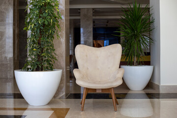 Soft beige armchair stands between columns with big green flowers in white pots. Cozy interior
