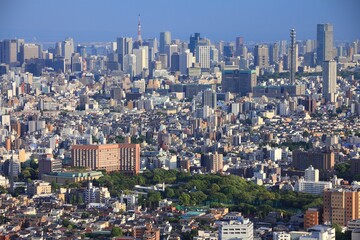 Fototapeta na wymiar Tokyo skyline - Minato