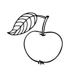 Apple fruit with leaf hand drawn sketch isolated on white background. Doodle Outline vector illustration. Black white apple isolated on white background. Design Power Collection, Vector Illustration.