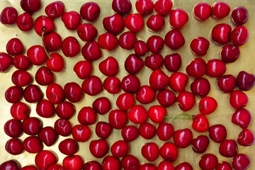 Scattered ripe cherries on a golden surface. Cherry background.