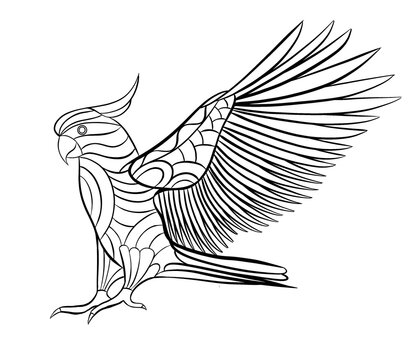 recommend clip art: Cockatoo bird black and white coloring page contour illustration for children and adults