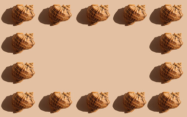 Creative summer pattern made of sea shells on sandy background with copy space. Trendy minimal concept. Flat lay.