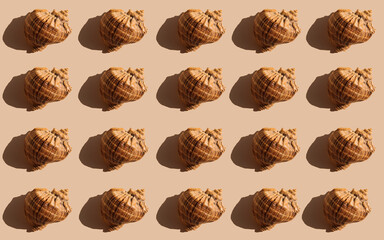 Creative summer pattern made of sea shells on sandy background. Trendy minimal concept. Flat lay.