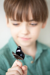 Caucasian boy holds on his finger a beautiful tropical butterfly with bright wings. A child admires the wonderful nature