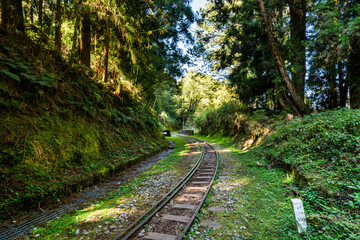Fototapeta na wymiar The old forest railway section of Alishan Forest Recreation Area in Chiayi, Taiwan, but is now obsolete and unable to operate