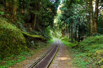 The old forest railway section of Alishan Forest Recreation Area in Chiayi, Taiwan, but is now obsolete and unable to operate