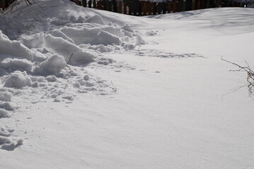 Obraz premium Smooth snow surface under the sun's rays. The texture of the snow cover that covered the ground. Part of the snow is dug up and lies in an uneven hill.