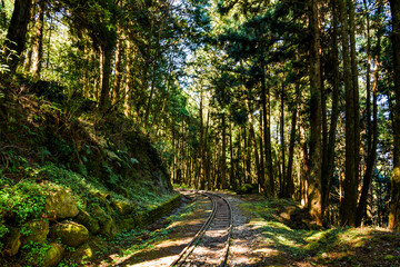 The old forest railway section of Alishan Forest Recreation Area in Chiayi, Taiwan, but is now obsolete and unable to operate