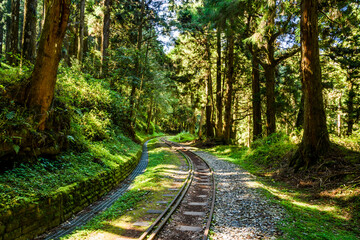 The old forest railway section of Alishan Forest Recreation Area in Chiayi, Taiwan, but is now obsolete and unable to operate