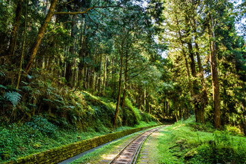 Obraz premium The old forest railway section of Alishan Forest Recreation Area in Chiayi, Taiwan, is now obsolete and unable to operate
