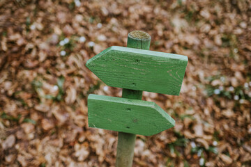 Grüner Wegweiser im Wald