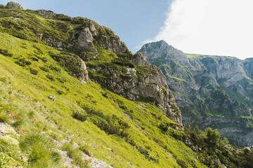 mountain landscape, mountain view, hiking trails