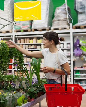 Woman near   shelves with indoor flowers in   store