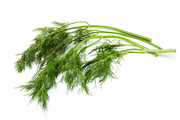 Dill isolated on white background