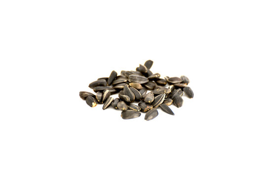 Sunflower seeds isolated on white background,food photo