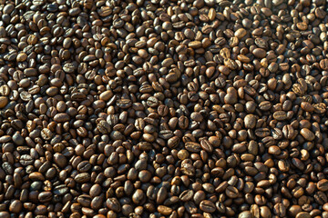 Roasted coffee beans texture close up
