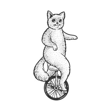 recommend clip art: unicycle cartoon circus cat sketch engraving vector illustration. T-shirt apparel print design. Scratch board imitation. Black and white hand drawn image.