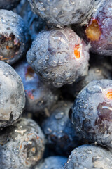 Macro aerial view of a group of wet blueberries, vertical