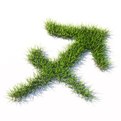 Concept conceptual green summer lawn grass symbol shape isolated white background, sign of sagittarius zodiac sign. 3d illustration symbol for  esoteric, the mystic, the prediction of astrology