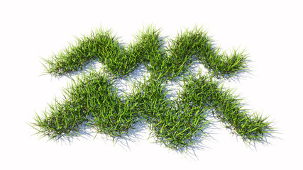 Concept conceptual green summer lawn grass symbol shape isolated white background, sign of aquarius zodiac sign. 3d illustration symbol for  esoteric, the mystic, the power of prediction of astrology