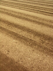 耕作された春の畑