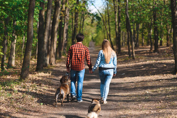 couple walking with dogs at sunny forest