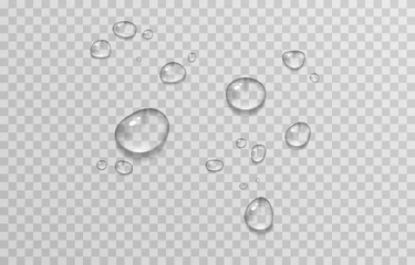 Fotobehang Vector water drops. PNG drops, condensation on the window, on the surface. Realistic drops on an isolated transparent background. © Vitaliy